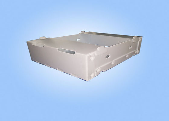 Waterproof Corrugated Plastic Moving Boxes For Product Display